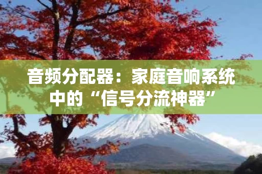 音频分配器:家庭音响系统中的“信号分流神器” 音频分配器:家庭音响系统中的“信号分流神器”