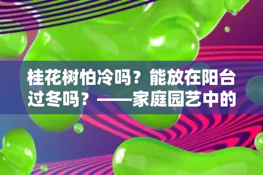 桂花树怕冷吗?能放在阳台过冬吗?——家庭园艺中的植物养护指南 桂花树怕冷吗?能放在阳台过冬吗?——家庭园艺中的植物养护指南