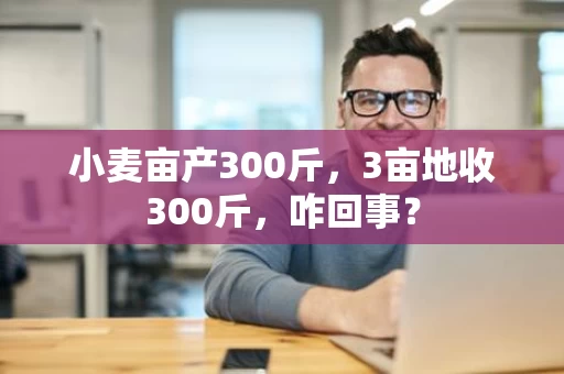 小麦亩产300斤,3亩地收300斤,咋回事? 小麦亩产300斤,3亩地收300斤,咋回事?