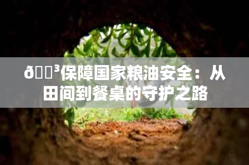 🌳保障国家粮油安全:从田间到餐桌的守护之路 🌳保障国家粮油安全:从田间到餐桌的守护之路