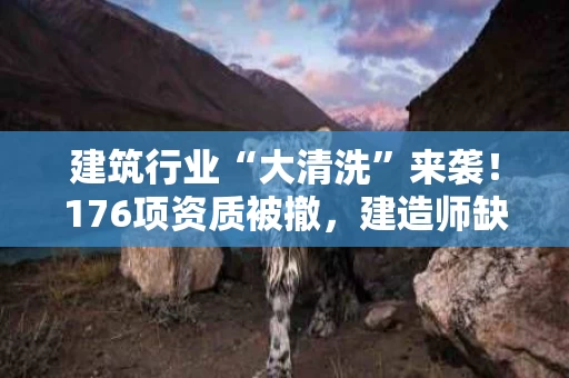 建筑行业“大清洗”来袭!176项资质被撤,建造师缺口成新痛点 建筑行业“大清洗”来袭!176项资质被撤,建造师缺口成新痛点