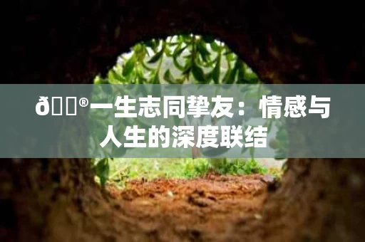 🔮一生志同挚友:情感与人生的深度联结 🔮一生志同挚友:情感与人生的深度联结