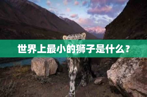 世界上最小的狮子是什么? 世界上最小的狮子是什么?
