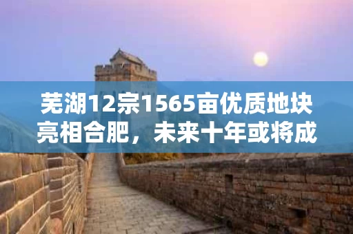 芜湖12宗1565亩优质地块亮相合肥，未来十年或将成城市新引擎