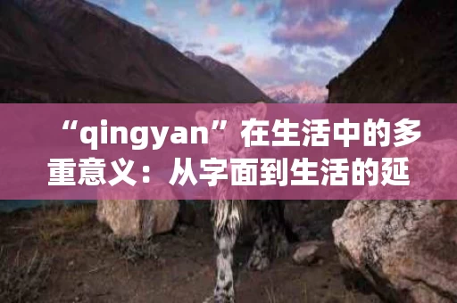 “qingyan”在生活中的多重意义：从字面到生活的延伸
