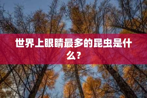 世界上眼睛最多的昆虫是什么？