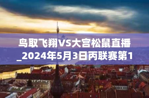 鸟取飞翔VS大宫松鼠直播_2024年5月3日丙联赛第12轮
