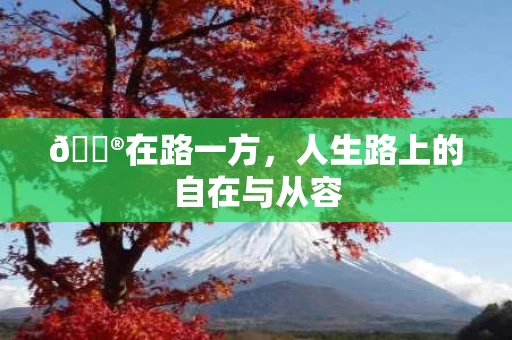 🔮在路一方，人生路上的自在与从容